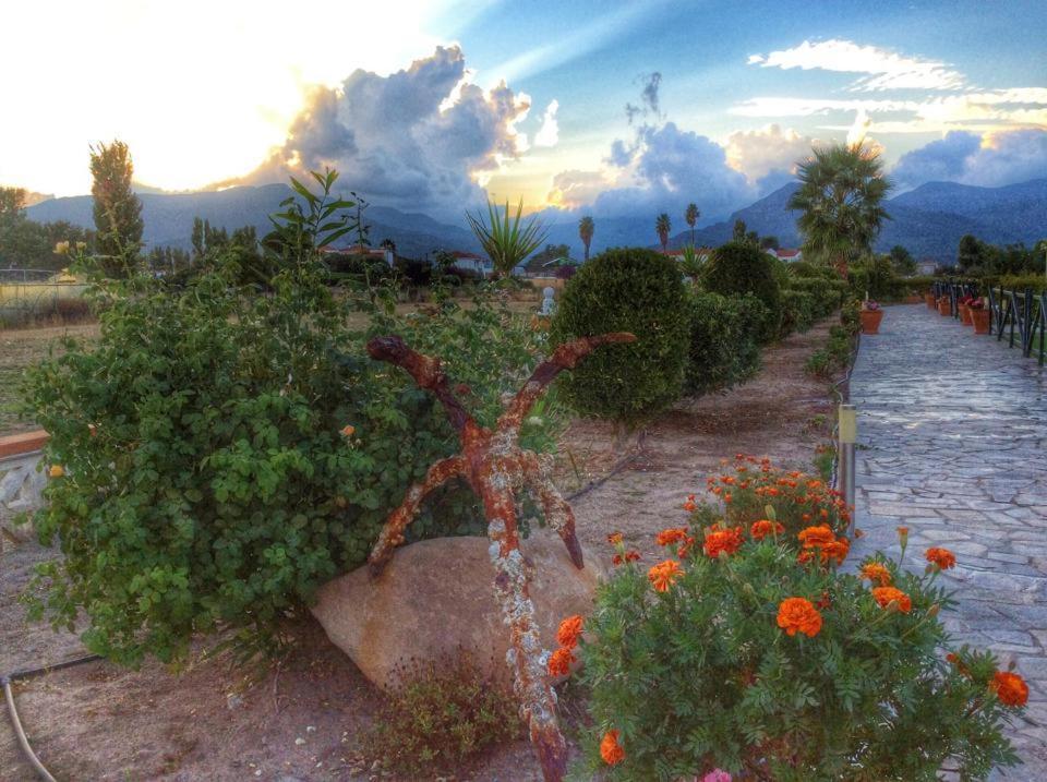Kalloni Beach Villas Skala Kallonis Exteriér fotografie